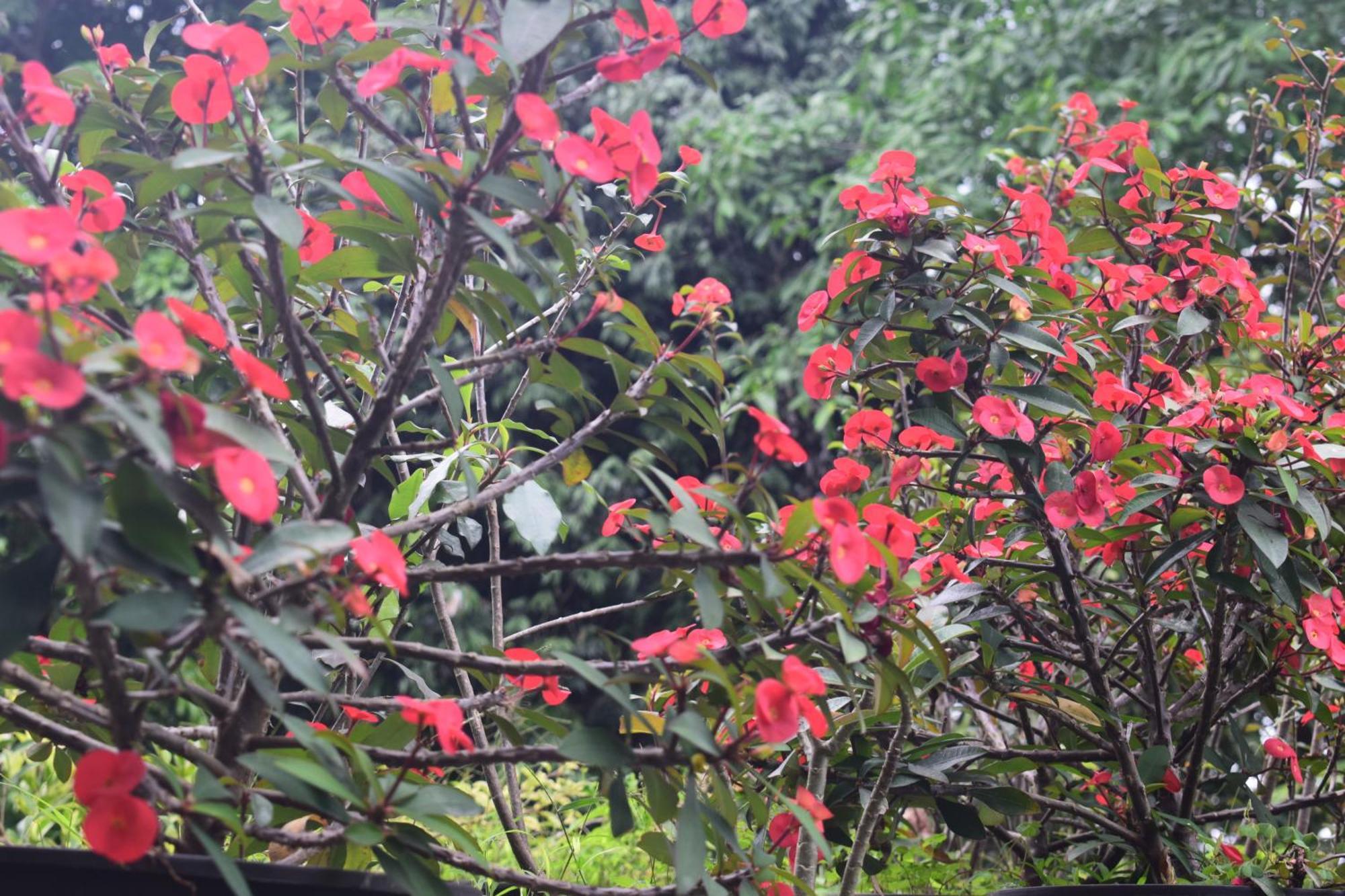 Namaya Nature 캔디 외부 사진