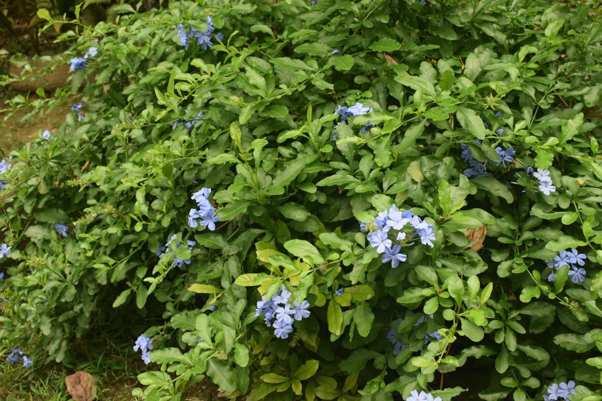 Namaya Nature 캔디 외부 사진